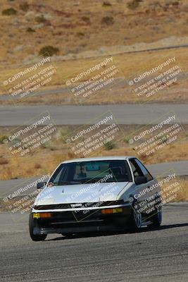 media/Feb-22-2025-Team Topak Racing (Sat) [[cb57a51a40]]/86 Party Brigade/Turns 13 and 14/